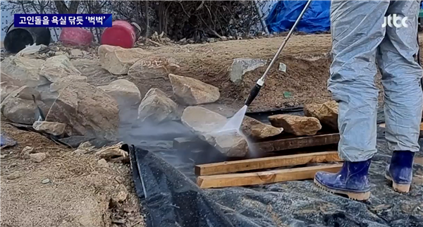 气哭网友：韩国2000年石墓被修复人员