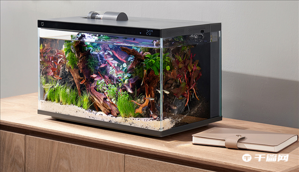 《米家智能鱼缸》开售：399元，自动喂鱼半年换水