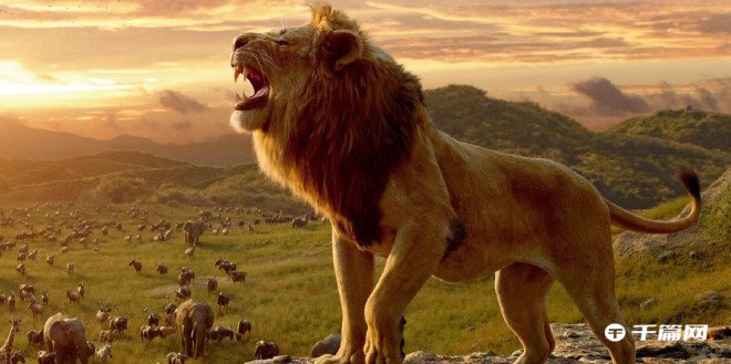 《狮子王》将开发系列电影