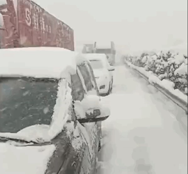 路都走不了，威海下起惊人大暴雪！